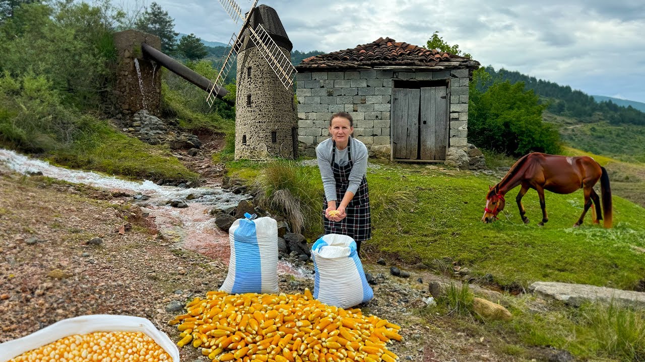 Visiting Our 100-Year-Old Water Mill, Traditional Albanian Pie 🔥🥧
