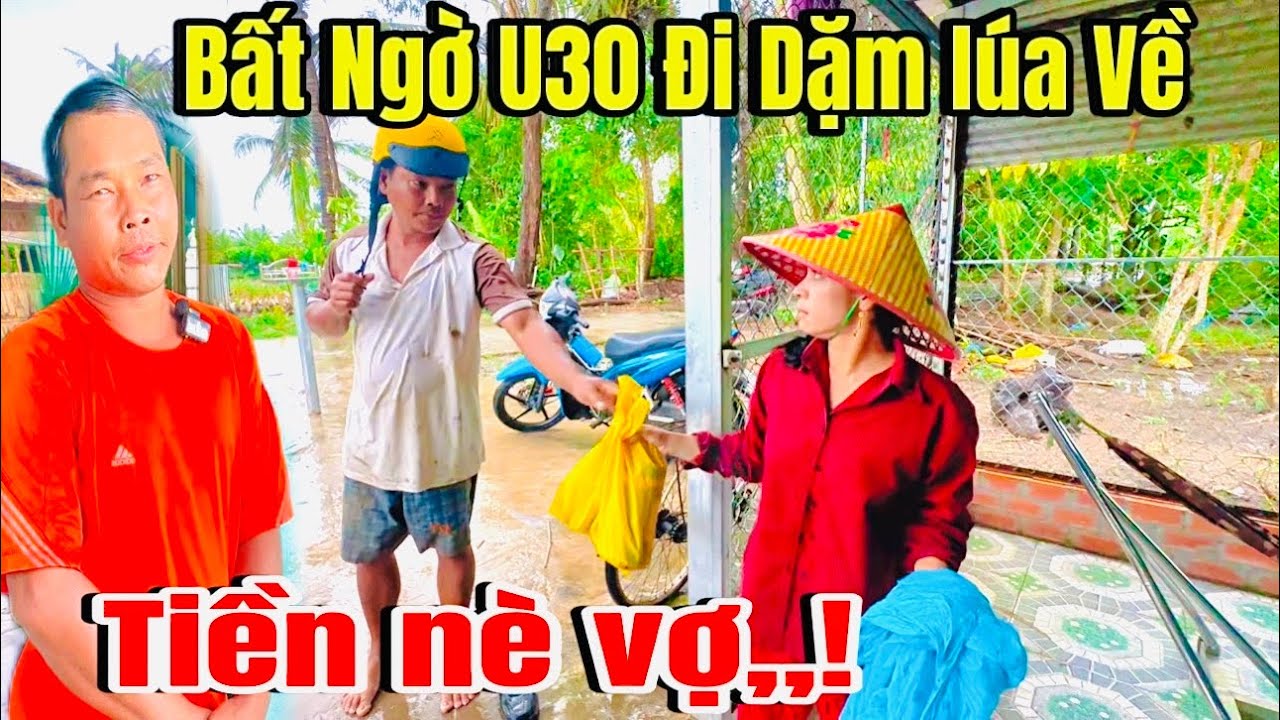 Bất Ngờ U30 Đi Dặm Lúa Về Nói Hết Đều Này ,Ai Nghe Cũng Xót,,!