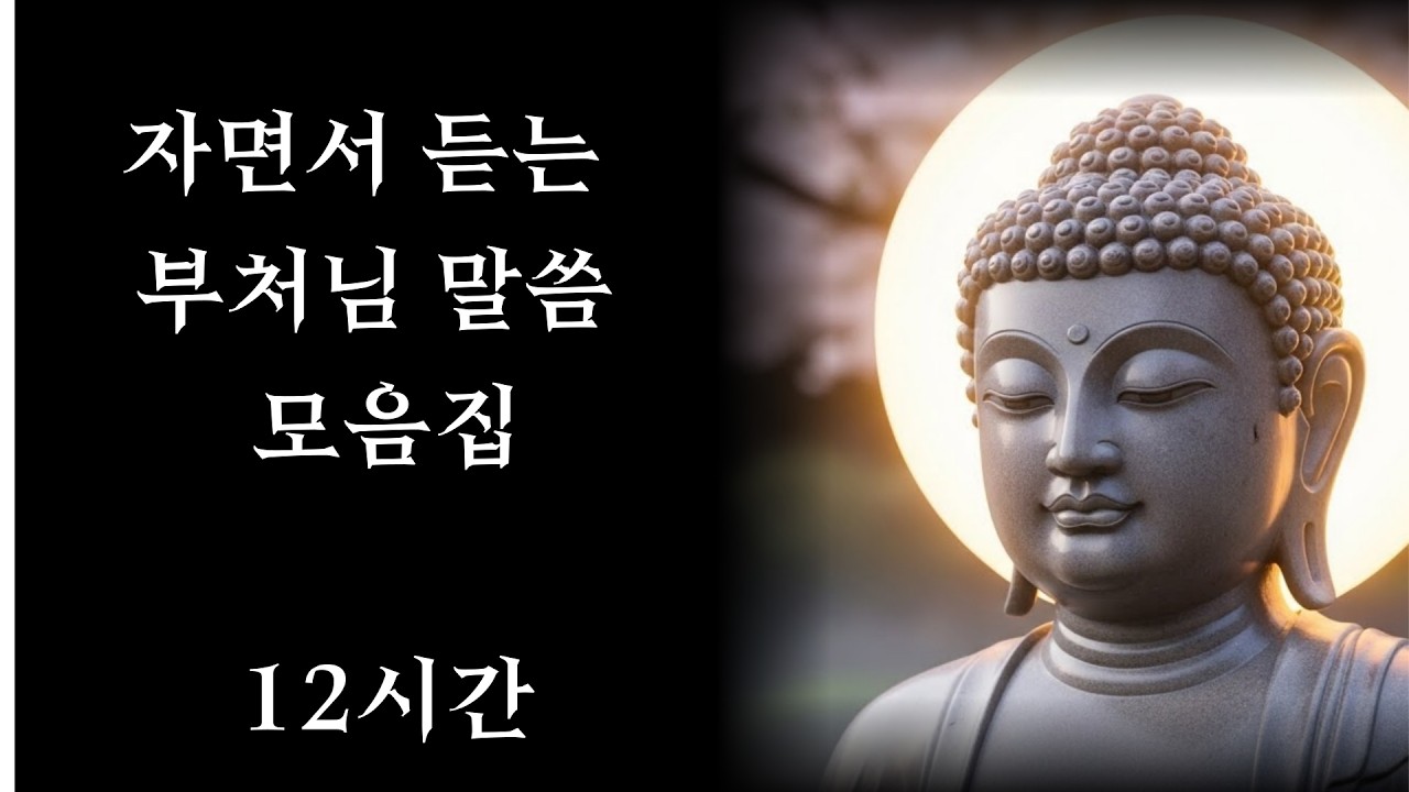 자면서 듣는 부처님 말씀 모음집 #부처님말씀 #불교명언 #지혜 #자기수행