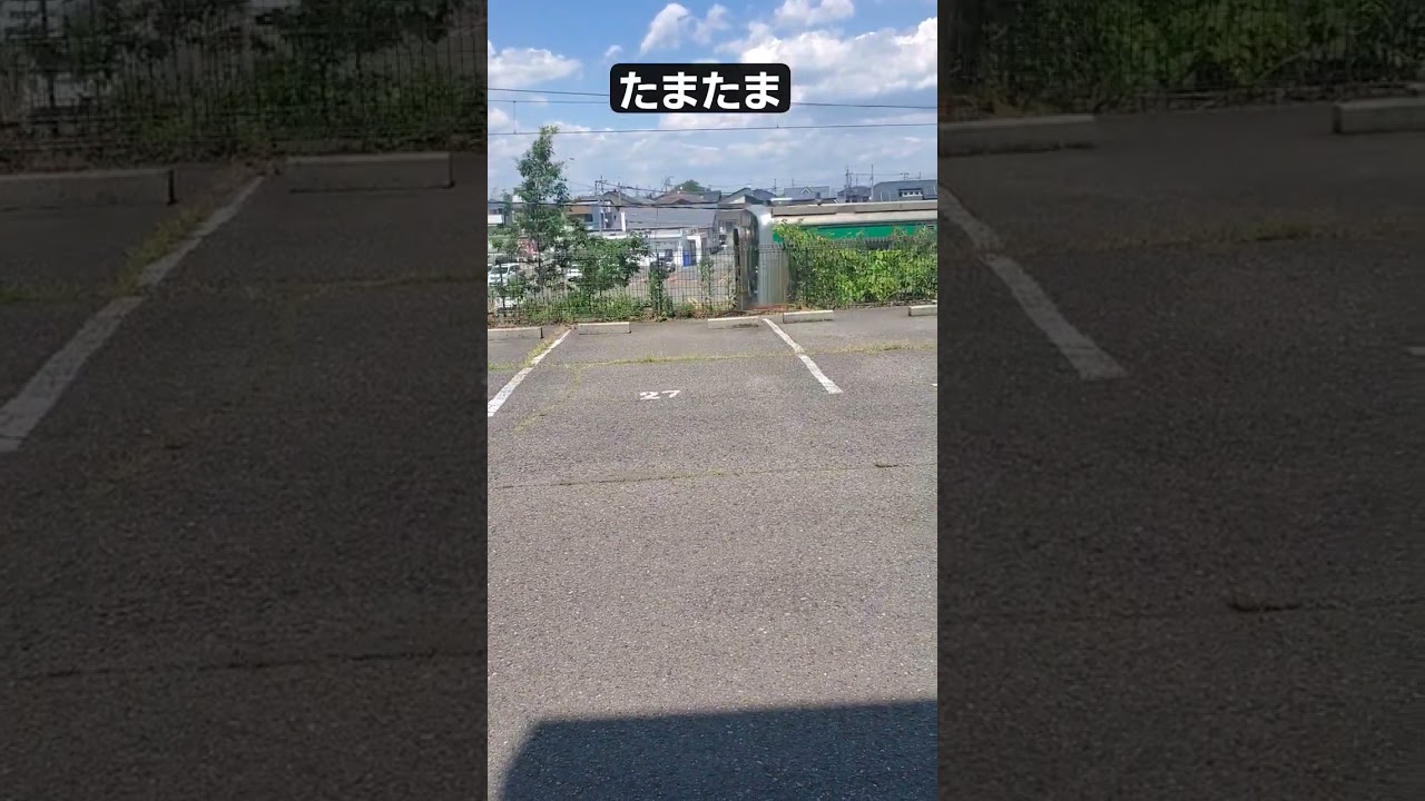 ６月５日パート2 晴れ　