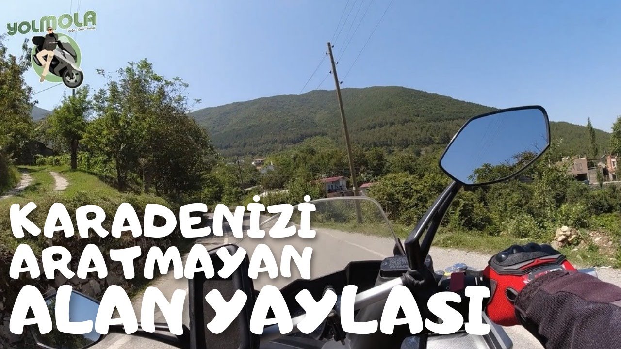 ALAN YAYLASI / YOLMOLA