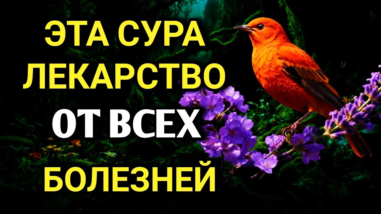 💖 АЛЛАХ дает ИСЦЕЛЕНИЕ МНОГИМ БОЛЕЗНЯМ.✨🤲💯