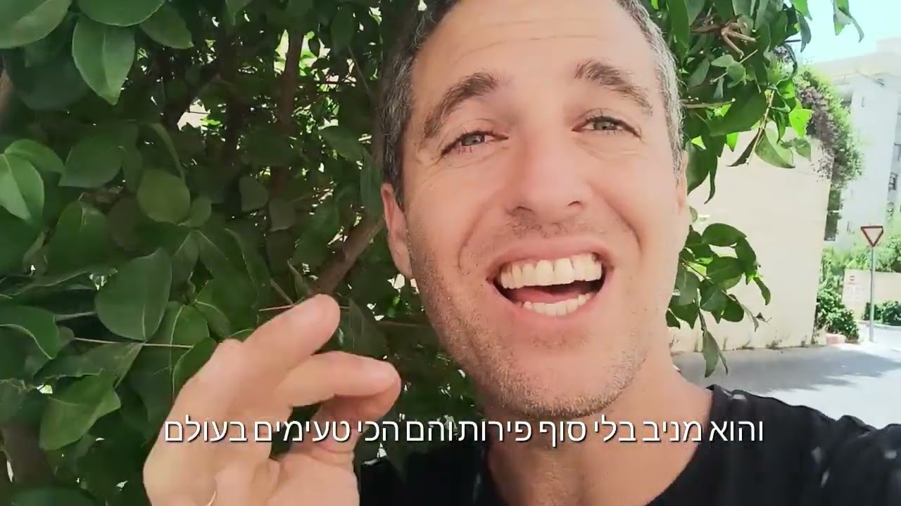 פיטנגו אחד הפירות הטעימים ושיח קל לגידול