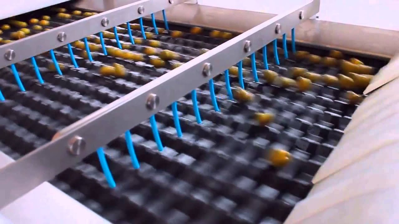 Tuttofood 2015: Selezionatrice Ottica di Colore e Difetto per olive da tavola