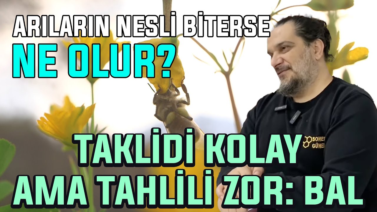 Taklidi Kolay Ama Tahlili Zor: Bal / Arıların Nesli Biterse Ne Olur?