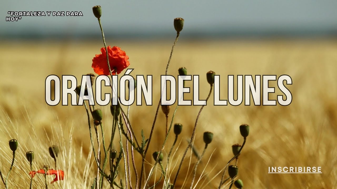 LUNES – “Fortaleza y Paz para Hoy”