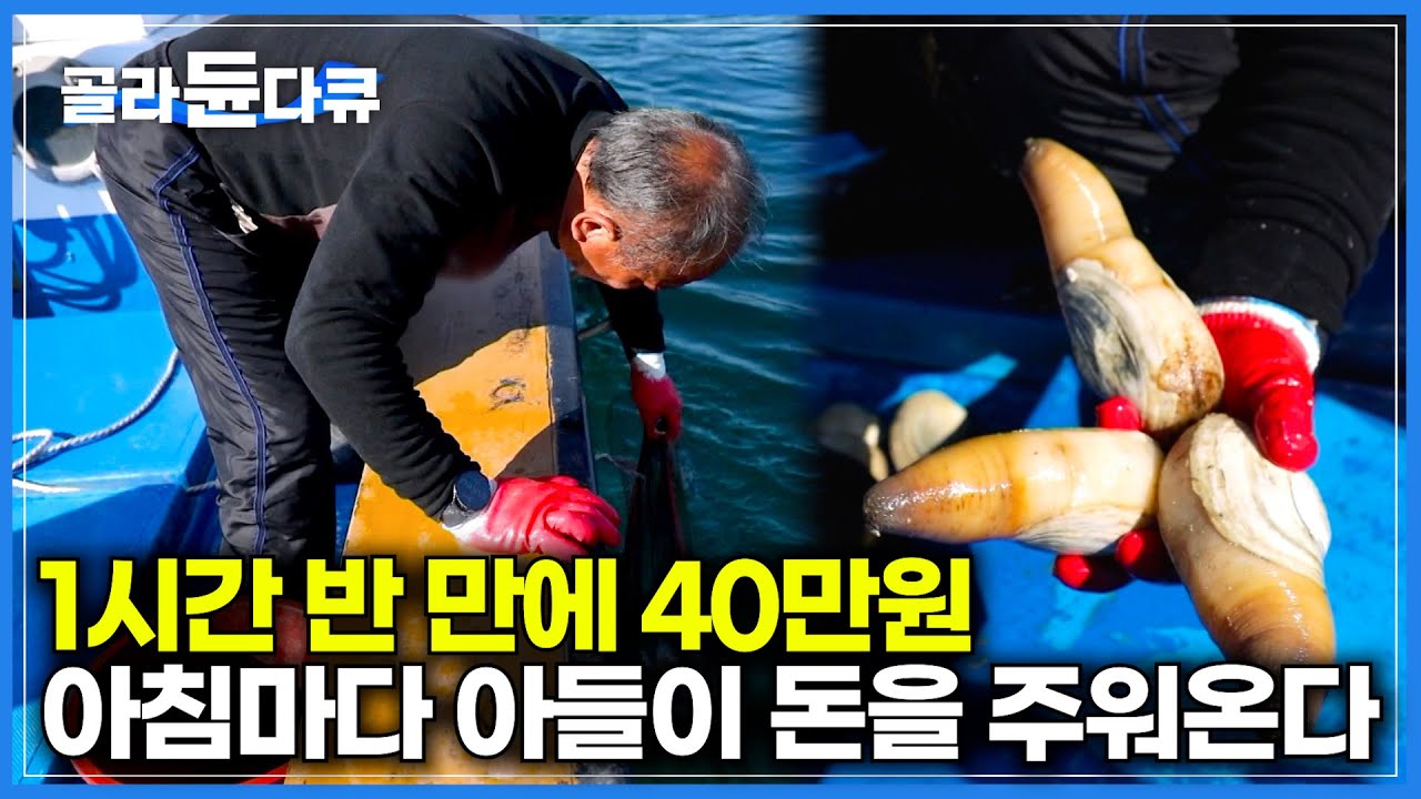 매일 아침 돈 주우러 깊은 바닷 속으로 들어가는 아들｜1시간 30분 만에 40만 원, 비싼 조개만 주워오는 아들｜한국기행｜