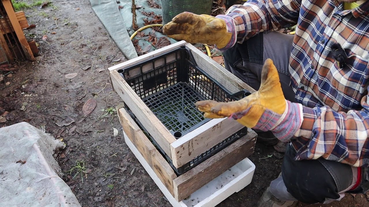 nuova lombricompostiera economica