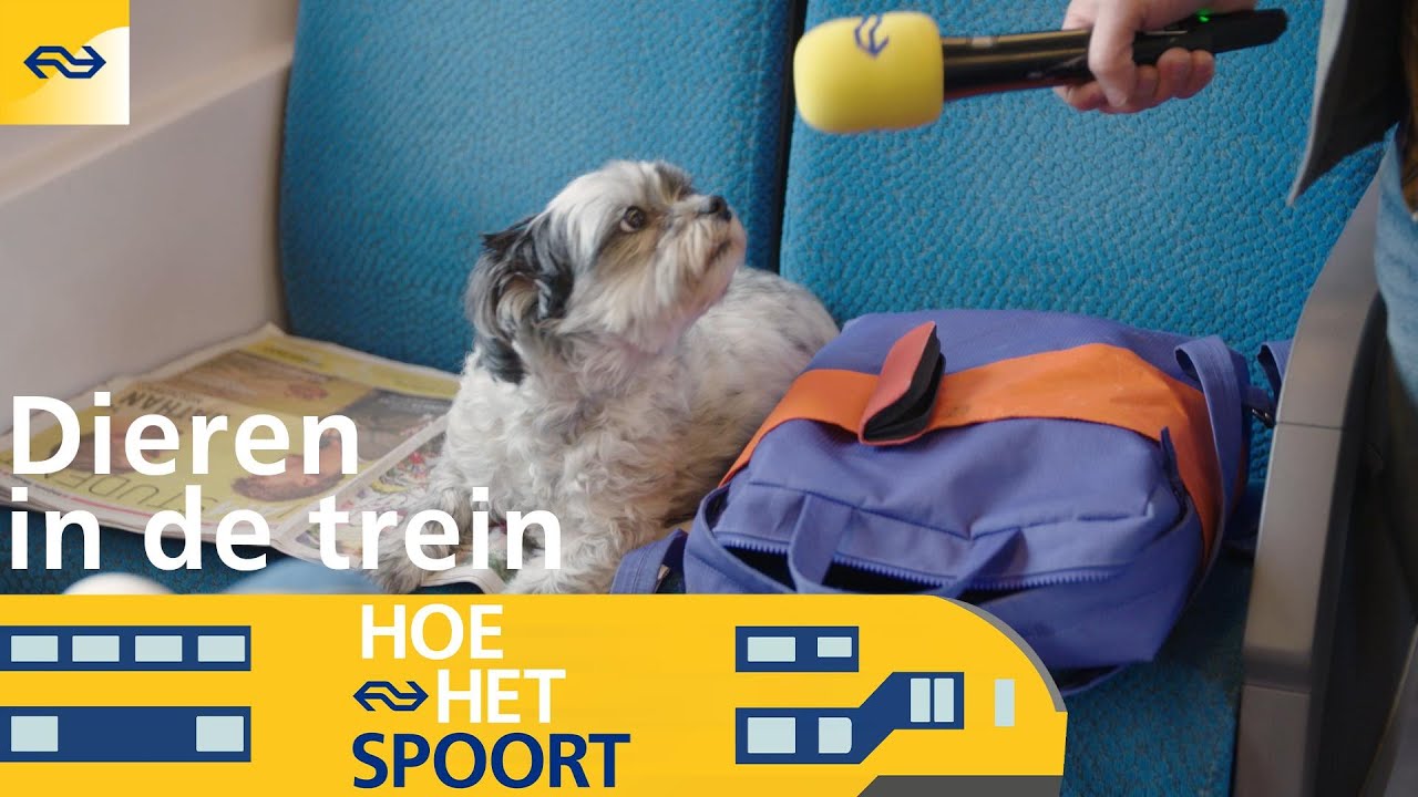 Honden, katten, ratten én slangen in de trein ... Hoe het spoort #8