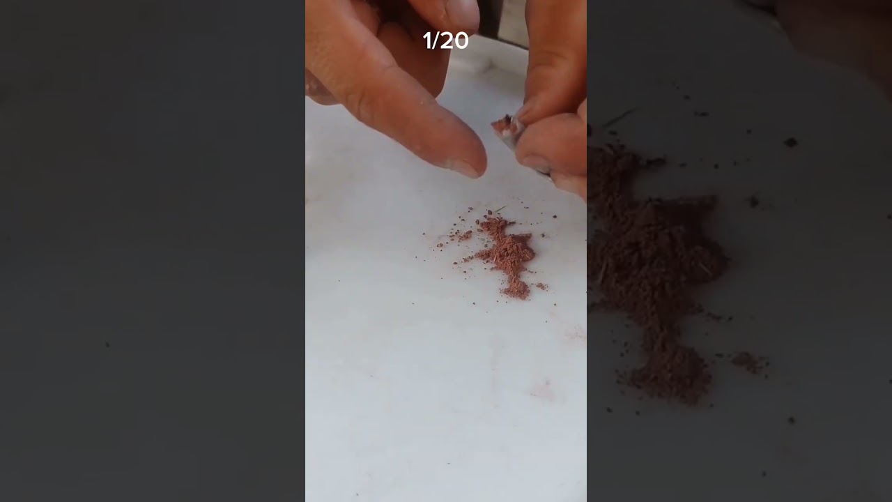 Homemade explosives Dale 1/20 #shorts #entertainment