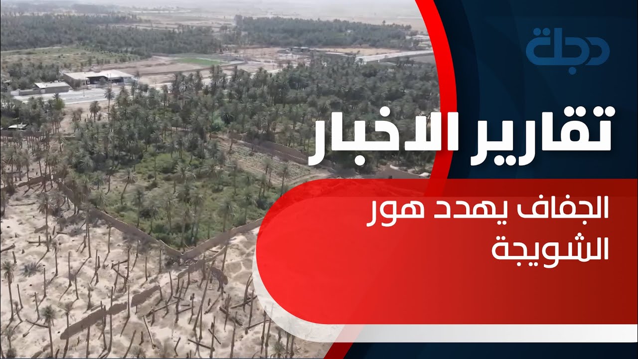 هور الشويجة.. مسطح مائي موسمي في واسط غني بتنوعه البيئي مهدد بالزوال