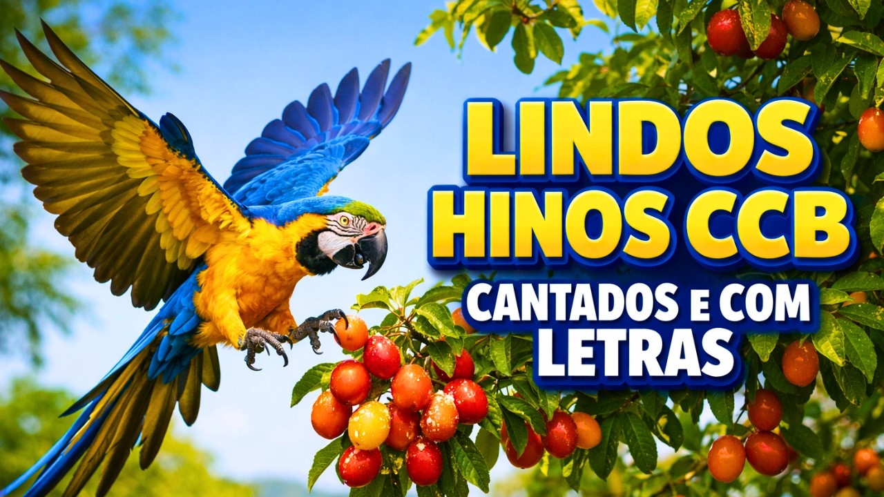 ✨ HINOS CCB SUAVES CANTADOS COM CALMA 🌿 LOUVORES QUE AQUIETAM A ALMA E RENOVAM A ESPERANÇA 🎵