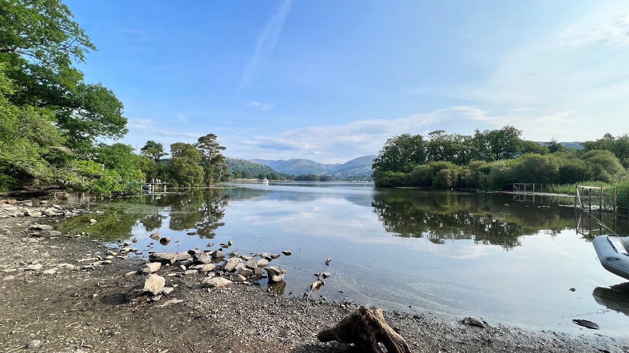 The gardening week | purple sprouting broccoli