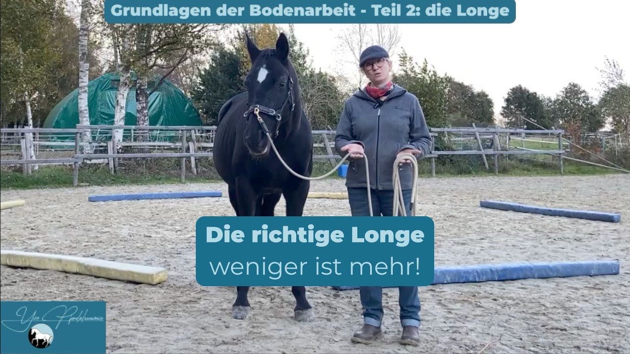 Teil 2 Die Longe