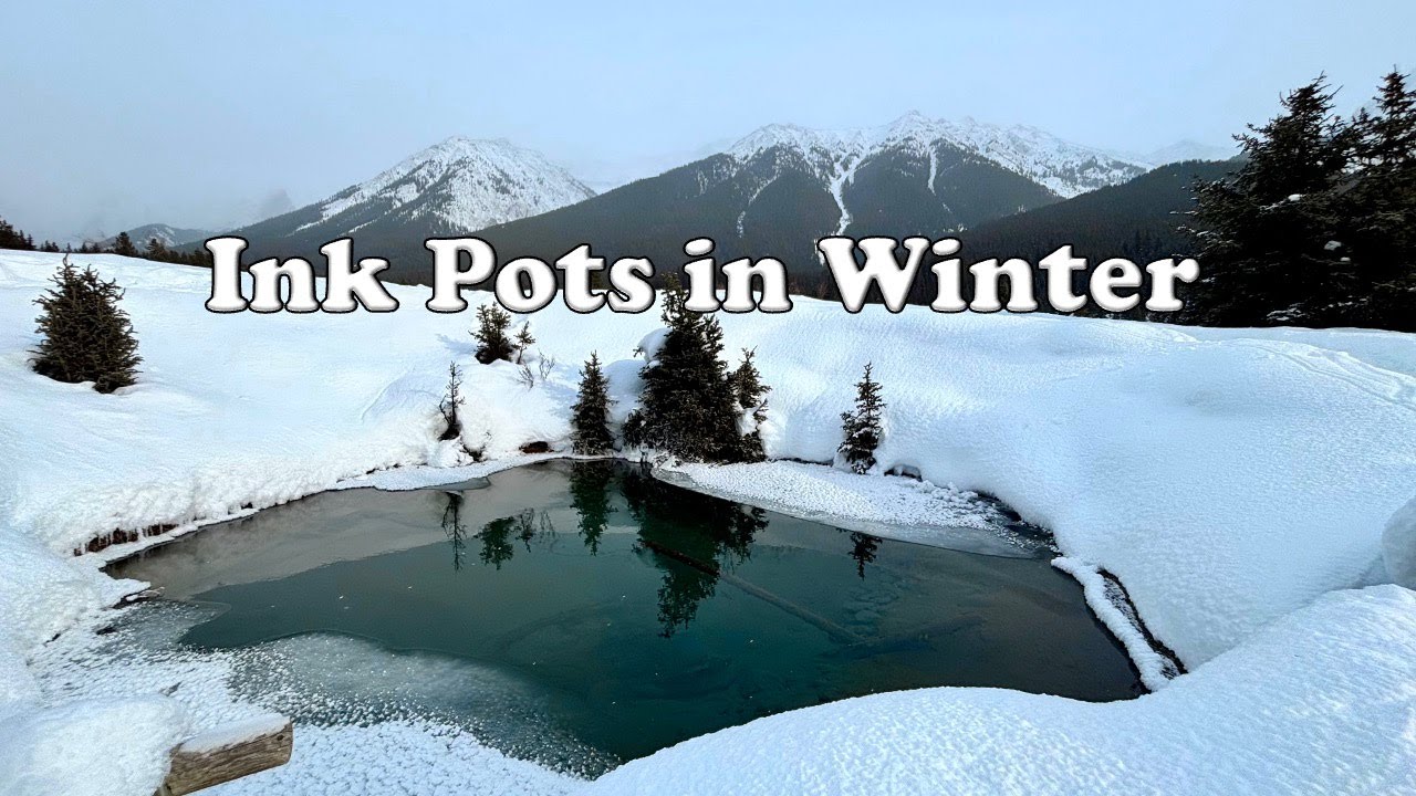 Ink Pots - Johnston Canyon - Wildlife Encounter