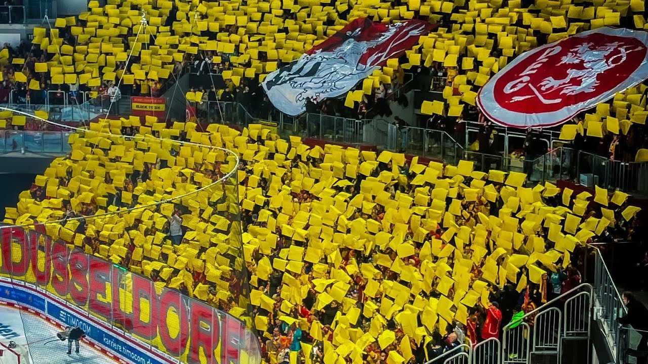 Düsseldorfer EG - Kölner Haie Rheinderby. DEL Eishockey Fans 03.12.2023