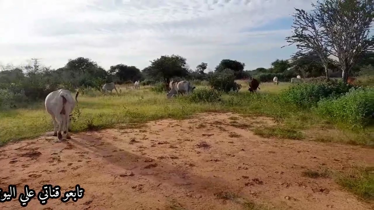 ٤ مايو ٢٠٢٥