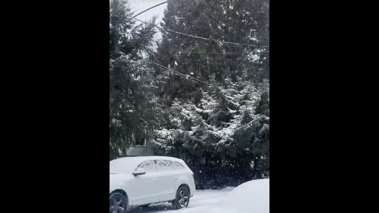 Snowfall Surrey BC Canada