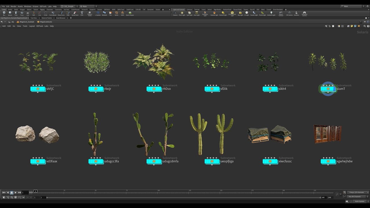 Houdini Megascans USD Builder / Version 1.6