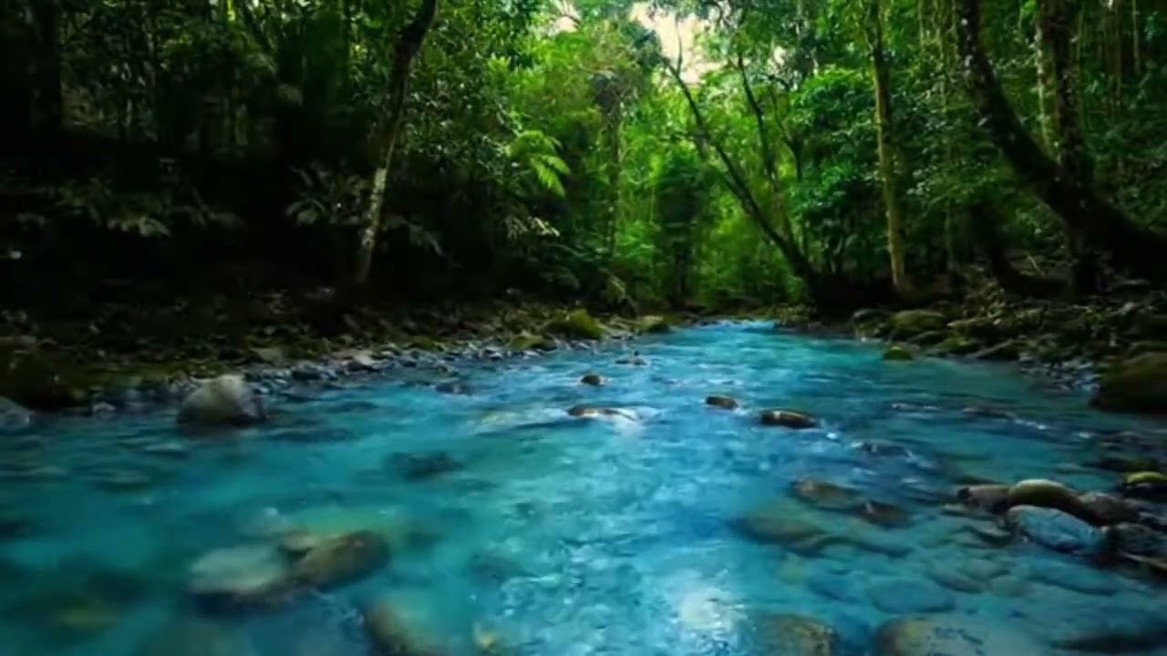 Peaceful River Flowing in Deep Forest | Relaxing Nature Sounds for Rest & Sleep