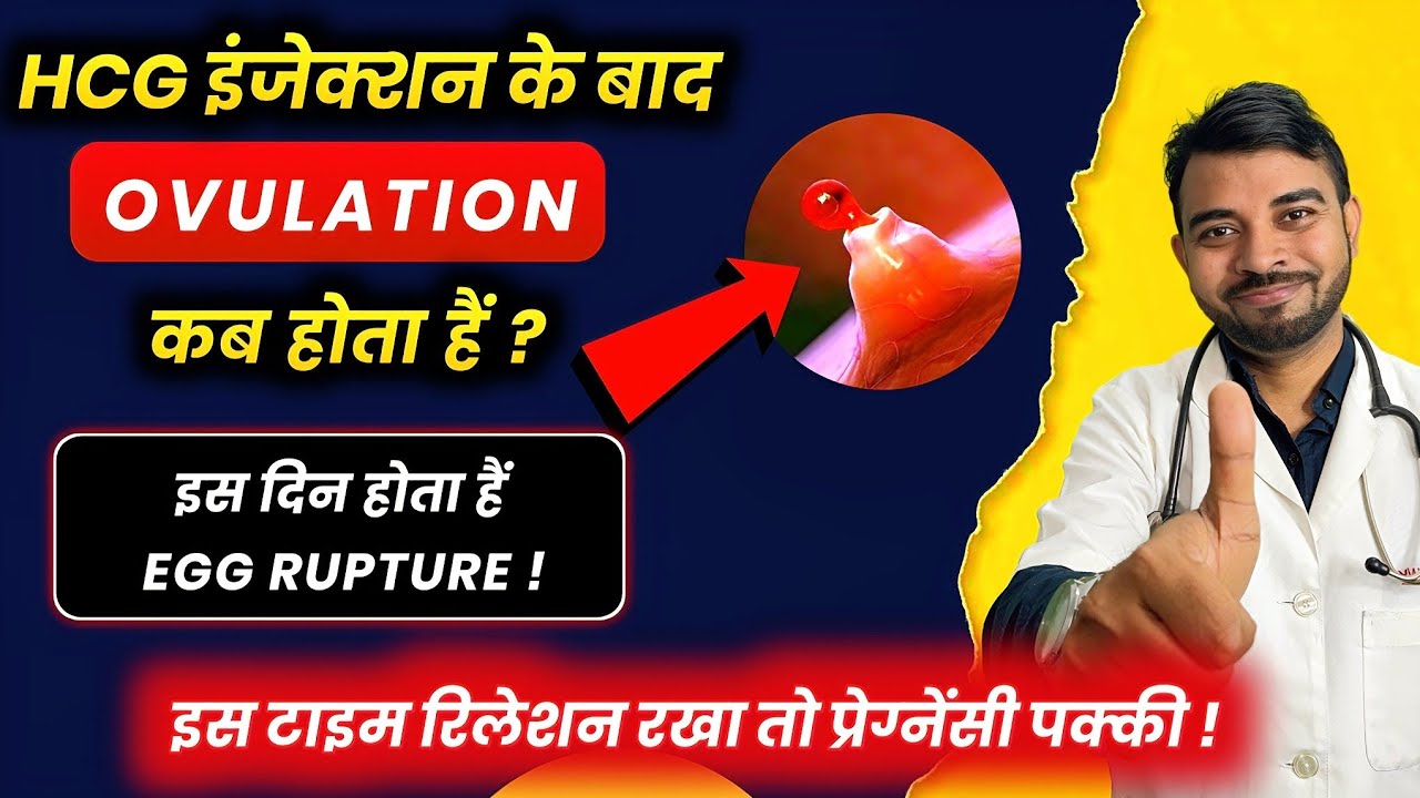 HCG Injection ke baad egg kab rupture hota hai | Ovulation after Hcg trigger shot