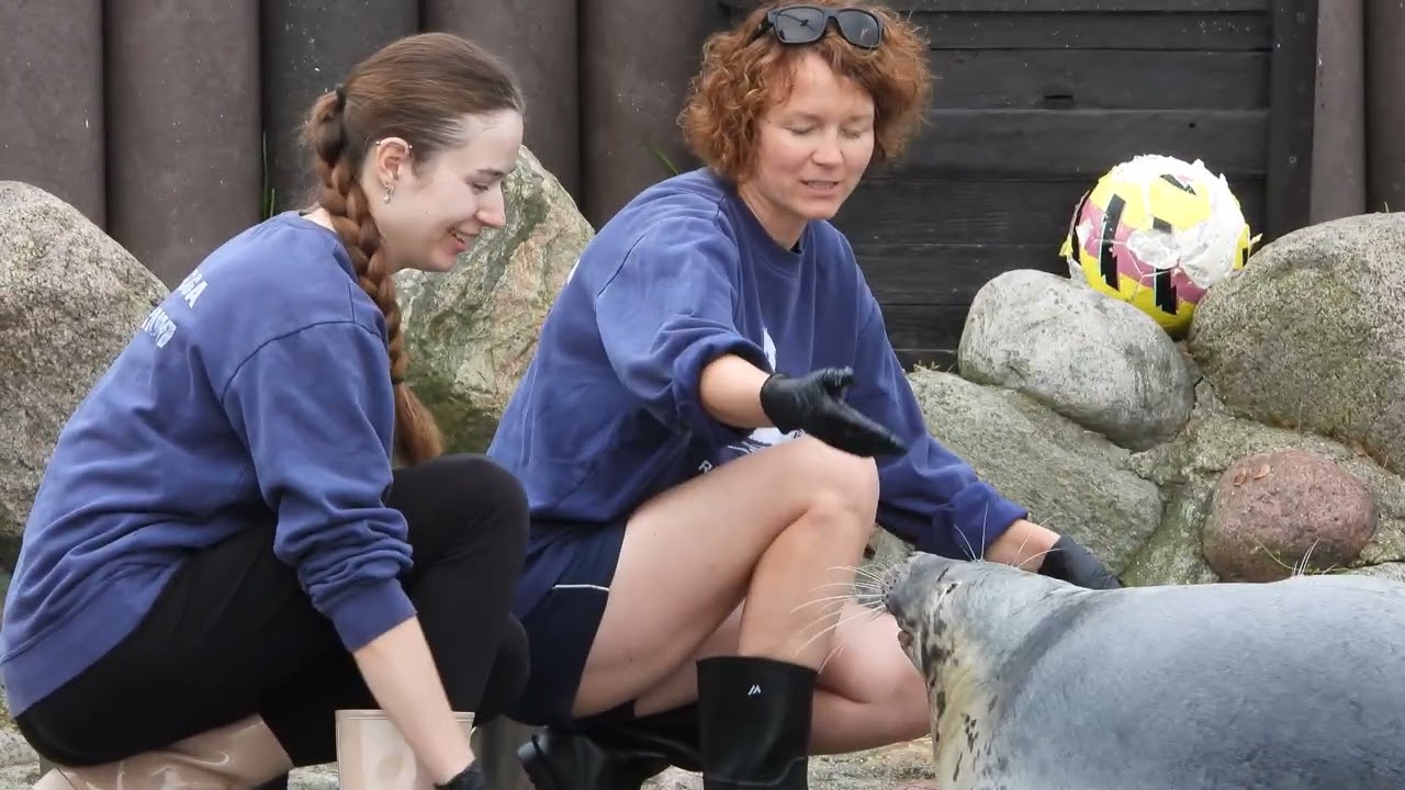 Fokarium Stacji Morskiej Instytutu Oceanografii Uniwersytetu Gdańskiego w Helu