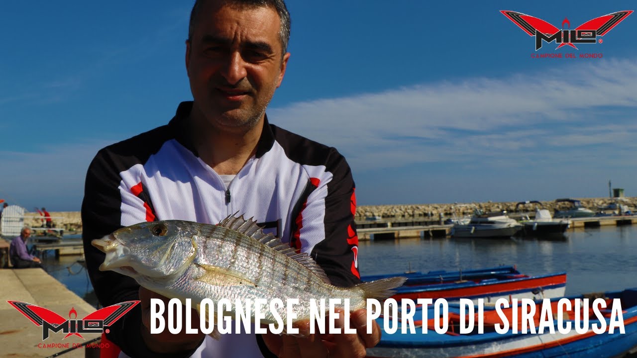 MILO TV - Pesca in bolognese in porto