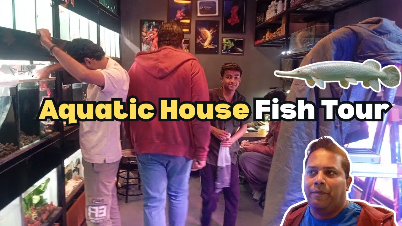 Aquatic House Monster Fishes | Exotic Fishes Tour EP-3 | Vortex & Enigma