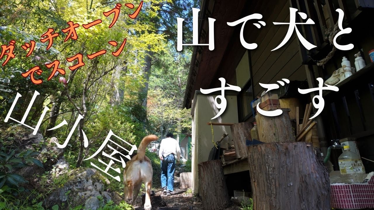 山小屋でのんびり休日｜息子と愛犬と焼きたてスコーン＆薪ストーブピザ　#labradorretriever #ラブラドールレトリバー #osmopocket3