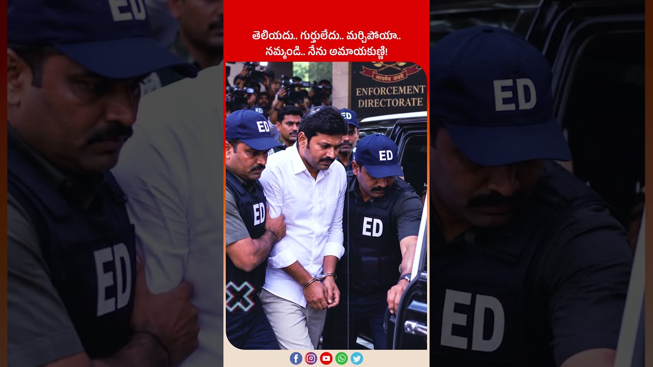 అవినాష్ రెడ్డి అరెస్ట్? | YS Viveka Case Latest Update | YS Avinash Reddy | #SeemandhraMedia