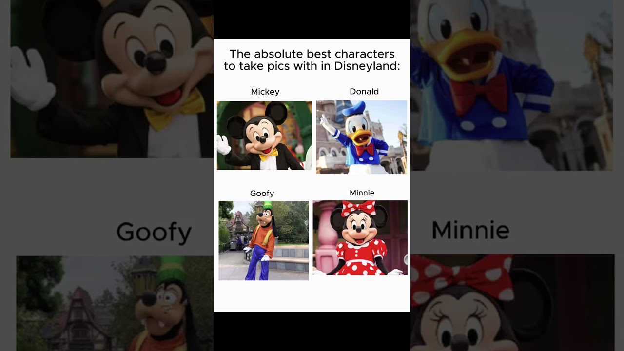Take out the stress of your day at Disneyland with MouseWait!    #disneylandresort #disney #viral #f