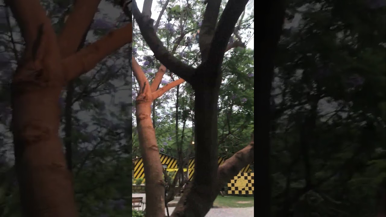 Best place for family at Quetta Kettle 