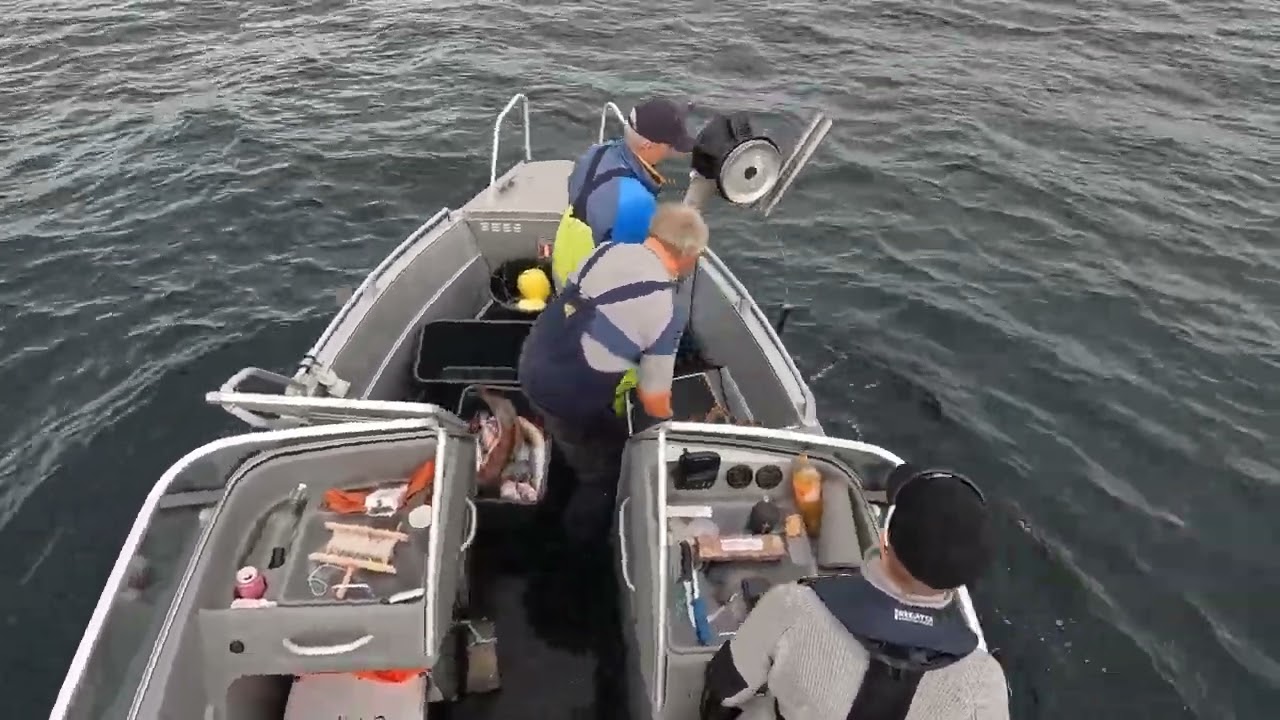 Linefiske