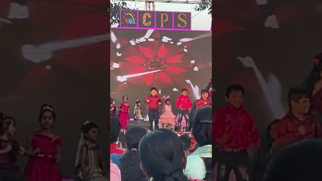 Daily life video