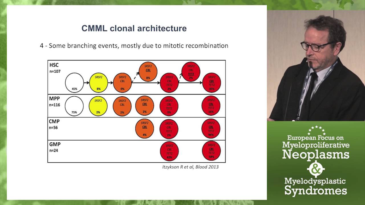 Genetic Basis of Chronic Myelomonocytic Leukemia (CMML)