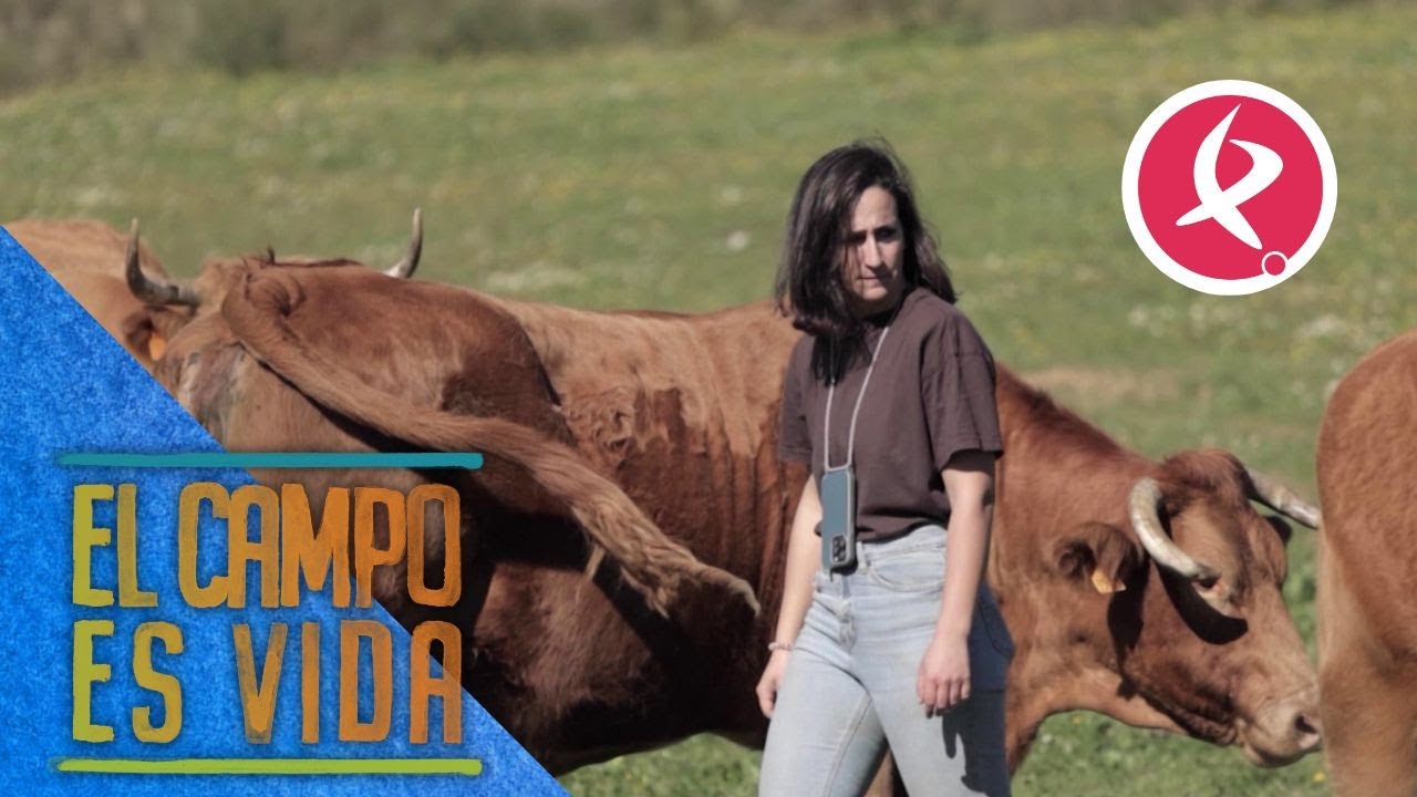 María, con 27 años, tiene su propia explotación bovina | El campo es vida