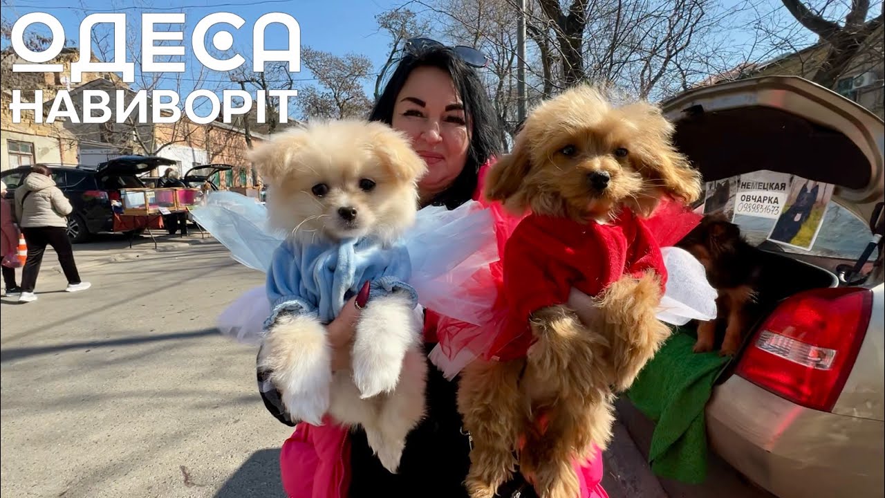 Староконный Рынок в Одессе! ПРОДАЖА Домашних Животных! ЦЕНЫ на Питомцев! @odessa_naiznanku 