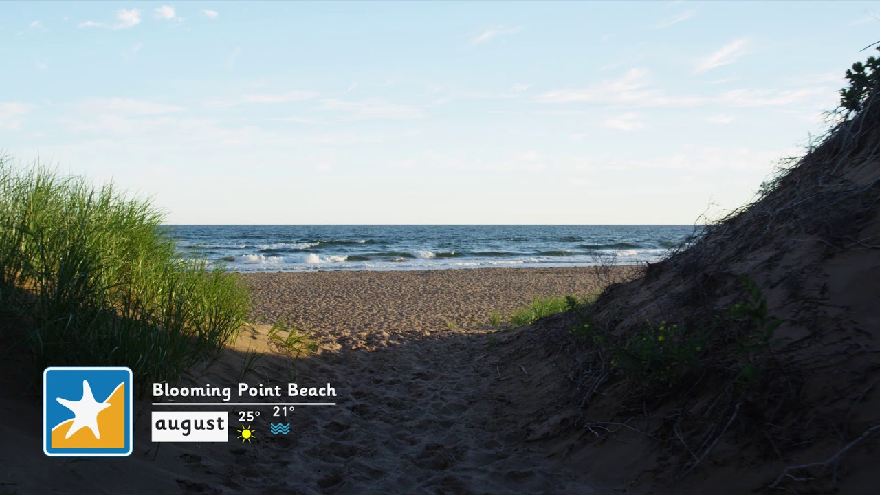 Places - Points East Coastal Drive