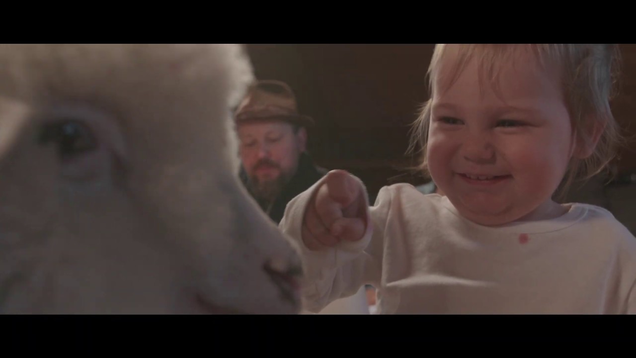 Rodzina Brod&oacute;w - NARESZCIE (Official Music Video)