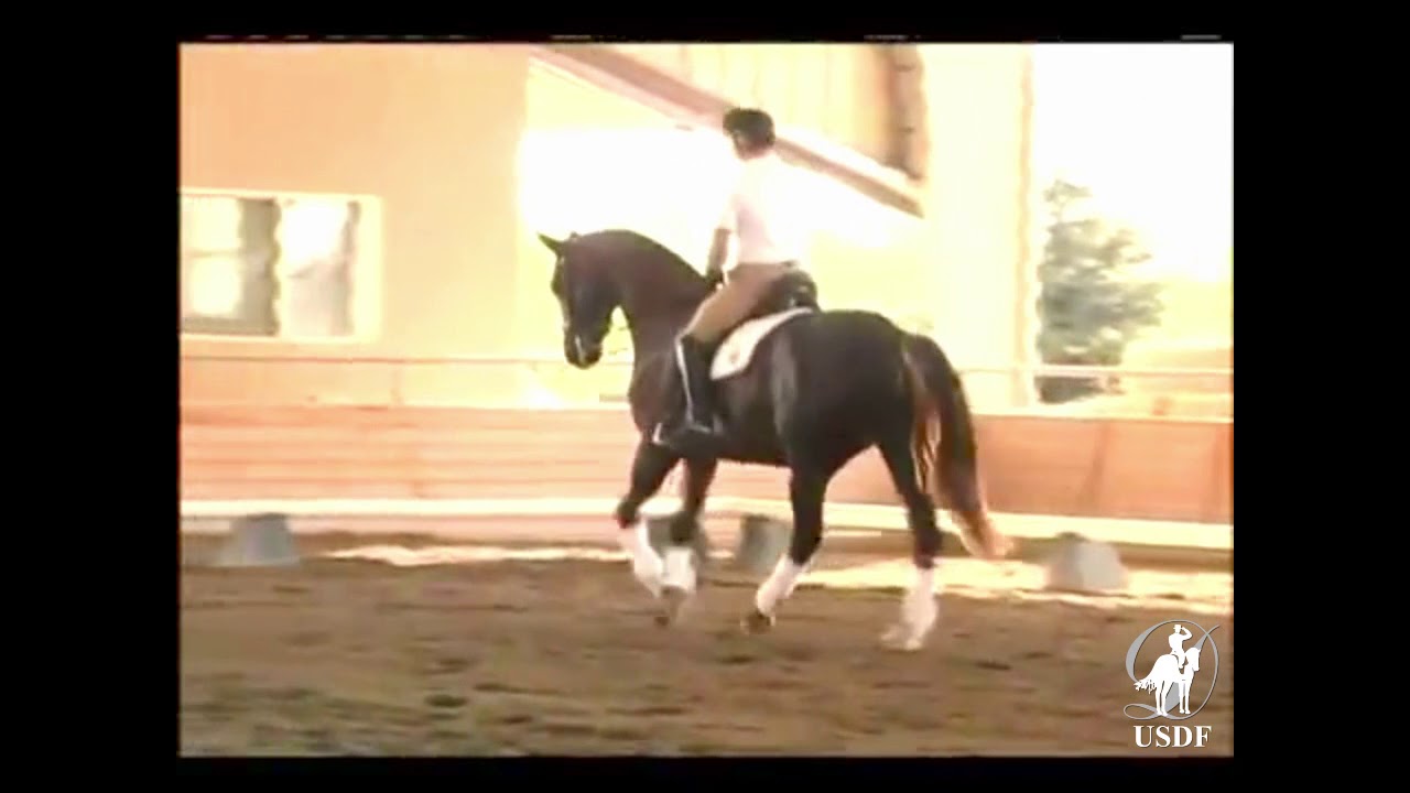 2007 Succeed USDF FEI Level Trainers Conference: Contact and the Neck, Part 1