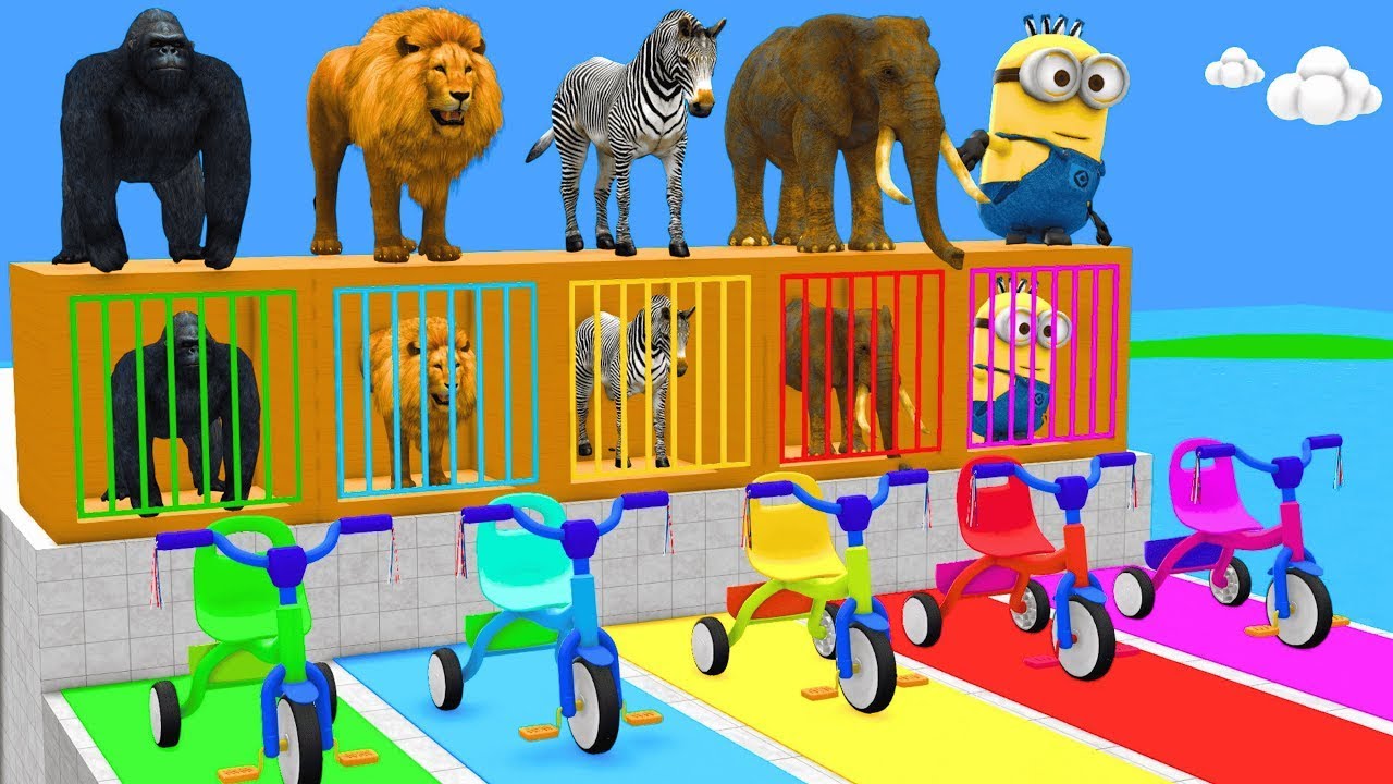 Long Slide Game With Elephant Gorilla Buffalo Hippopotamus Tiger - 3d Animal Game - Funny 3d Animals