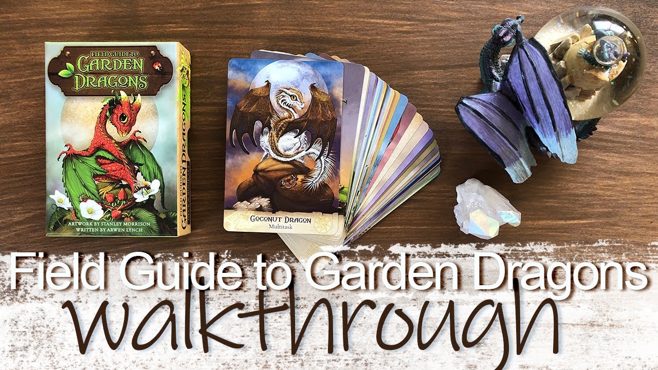 Field Guide to Garden Dragons Oracle Deck | Walkthrough