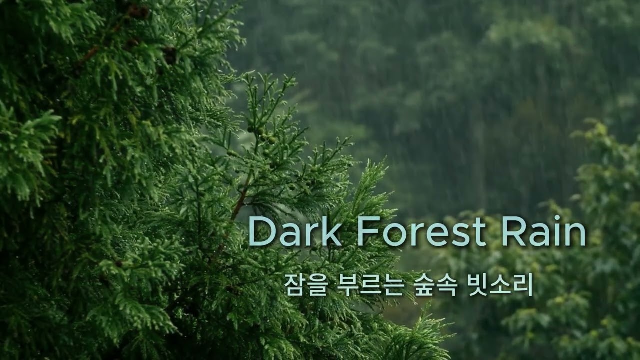 잠을 부르는 숲속 빗소리 🌧️ Dark Forest Rain | 2 Hours Sleep Sounds