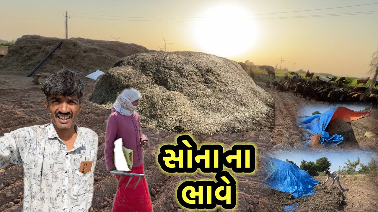 આ સોના ના ભાવે || village life 