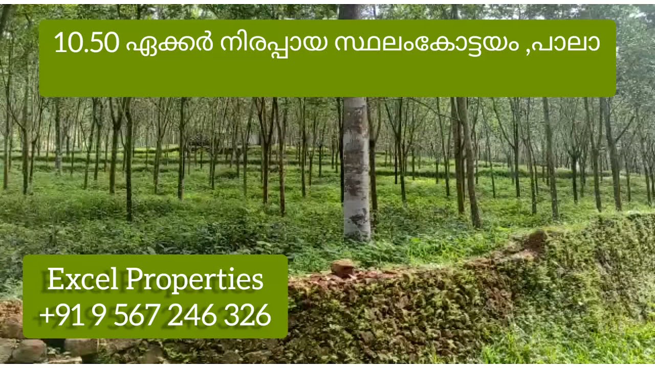 10.50 Acre Flat Land on the side of wide tarred road kottayam pala 400 m from highway #meenachil