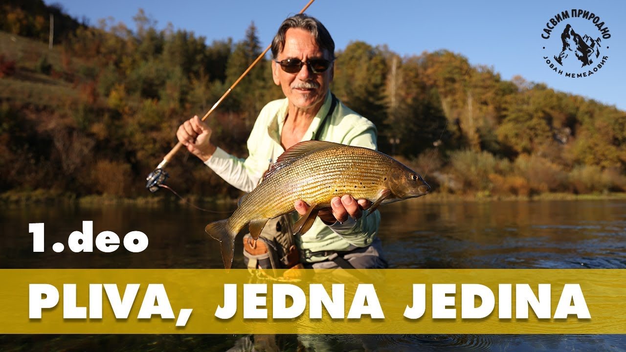 SASVIM PRIRODNO: Pliva, jedna jedina 1. deo