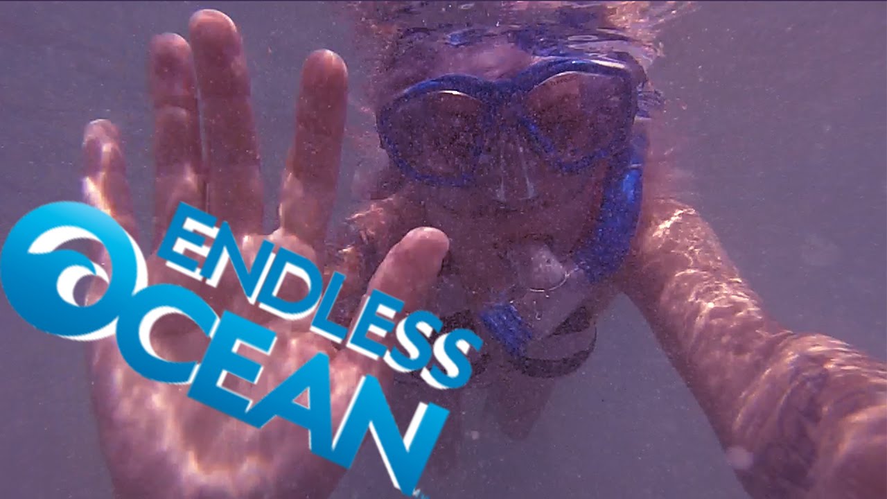 Ross and Holly Play Endless Ocean - Hawaii - Commander Holly Show