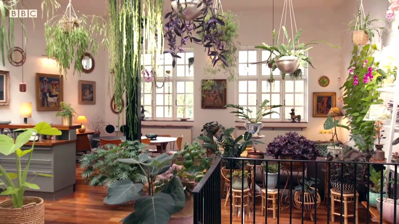 kertész kertje szobanövények IV  S52 E09 részlet