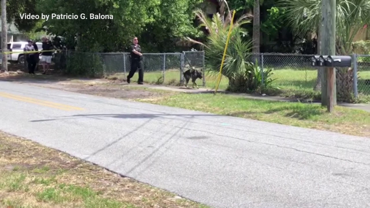 Daytona Beach police work two shooting scenes on Monday