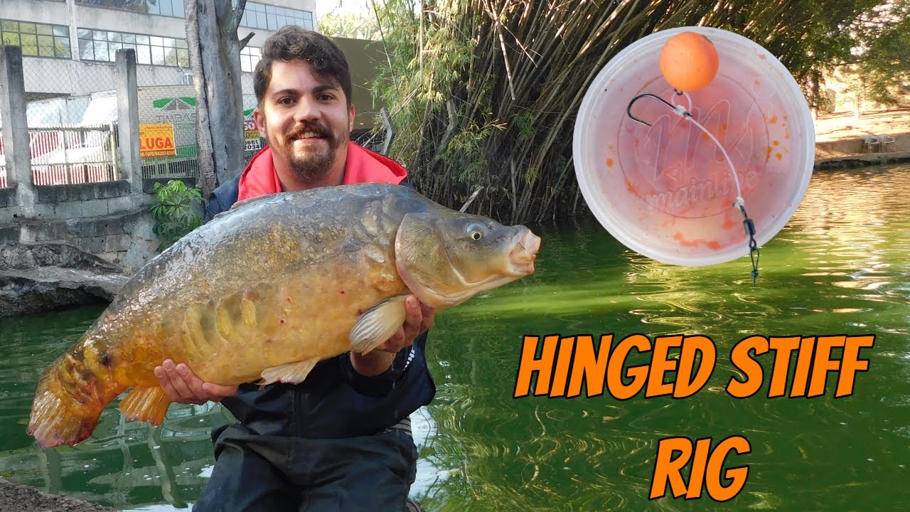 Pescando no MEIO DA CIDADE !! A história da CARPA urbana.